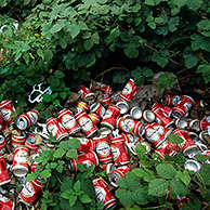 Illegal dump with beer cans in the bushes 